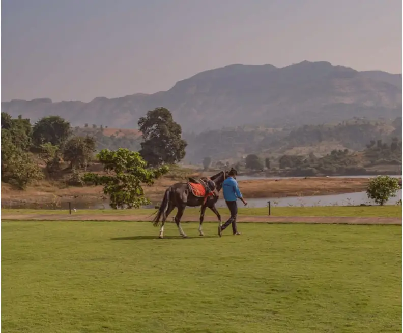 Horse rides